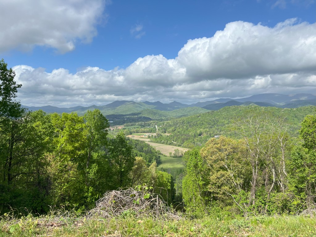 Georgia On My Mind: The Journey&nbsp;There