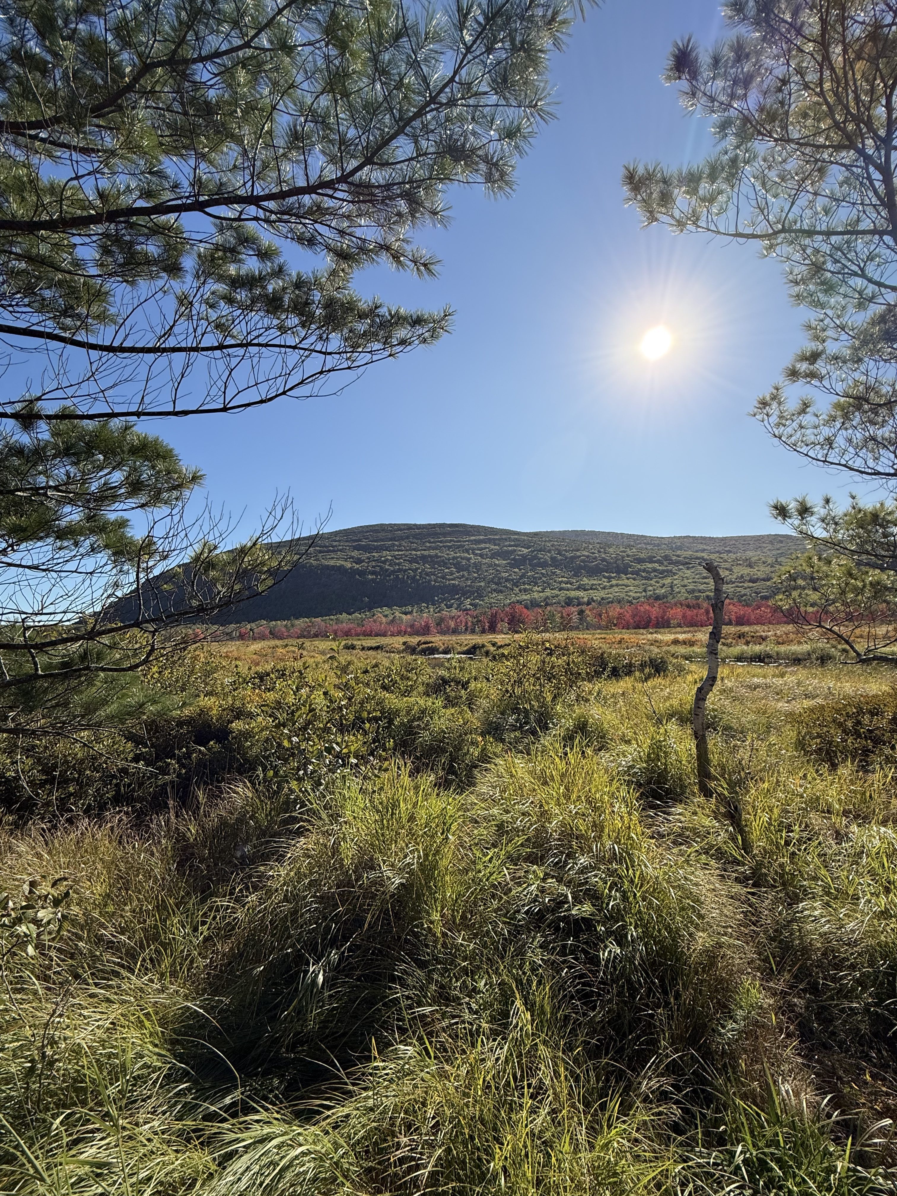 Acadia National Park