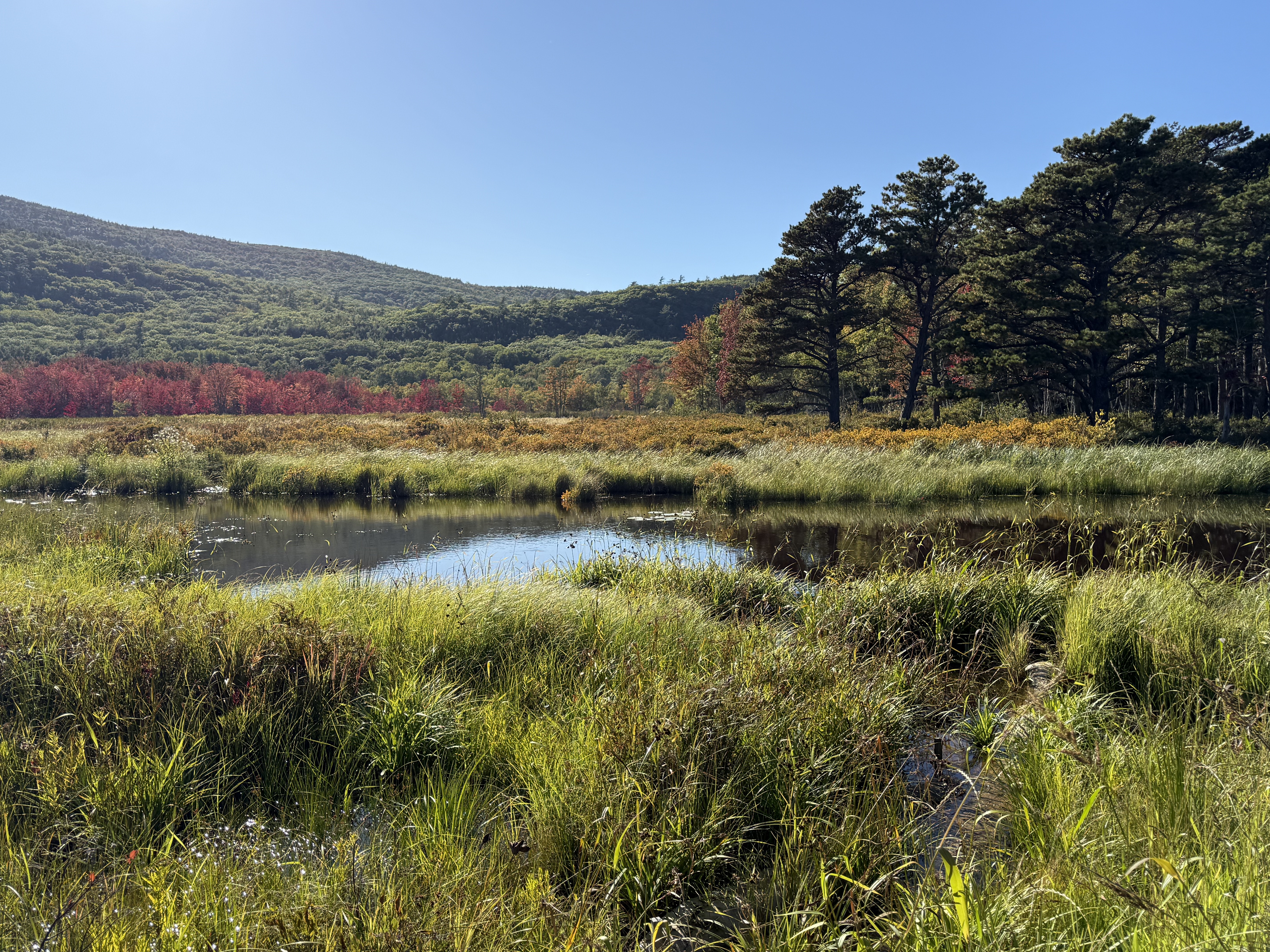 Acadia National Park